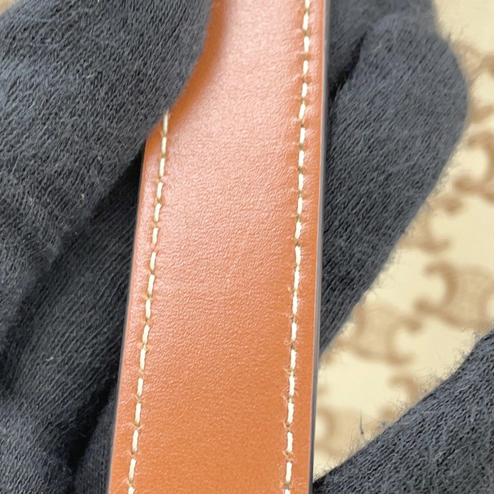 Celine Triomphe Museum Tote Bag - Picture 10 of 12
